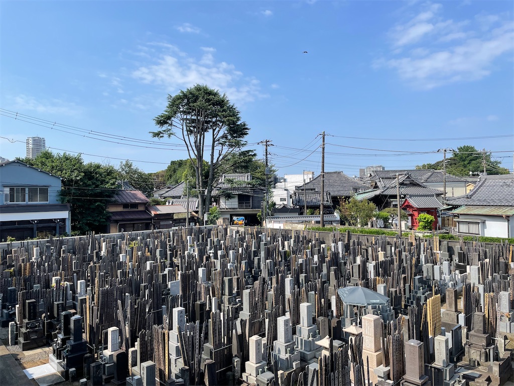 f:id:TokuheiKumagai:20240804101823j:image