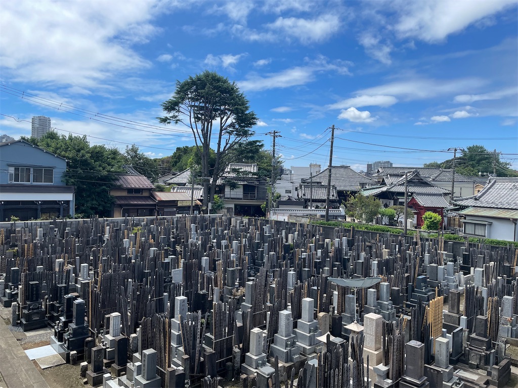 f:id:TokuheiKumagai:20240810110026j:image