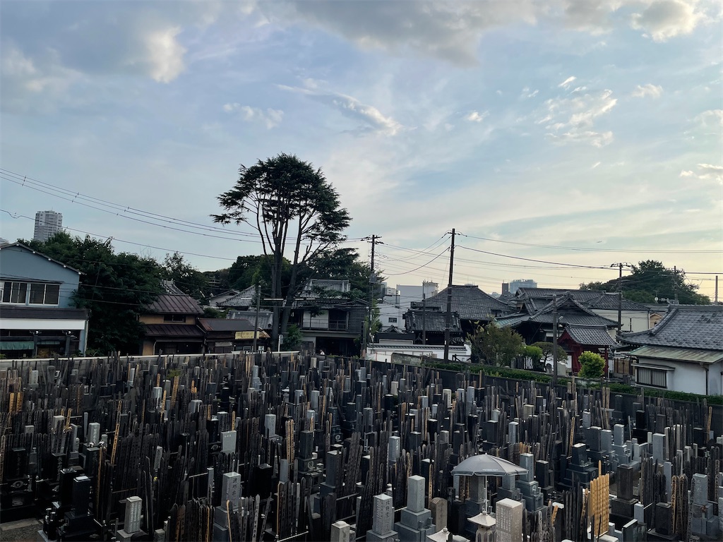 f:id:TokuheiKumagai:20240811180748j:image