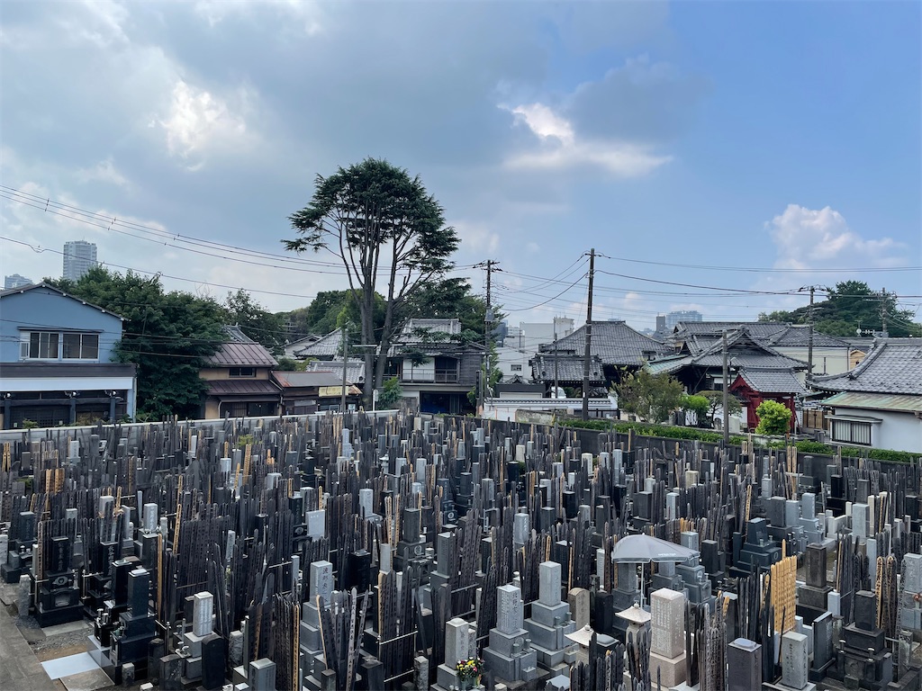 f:id:TokuheiKumagai:20240814082432j:image