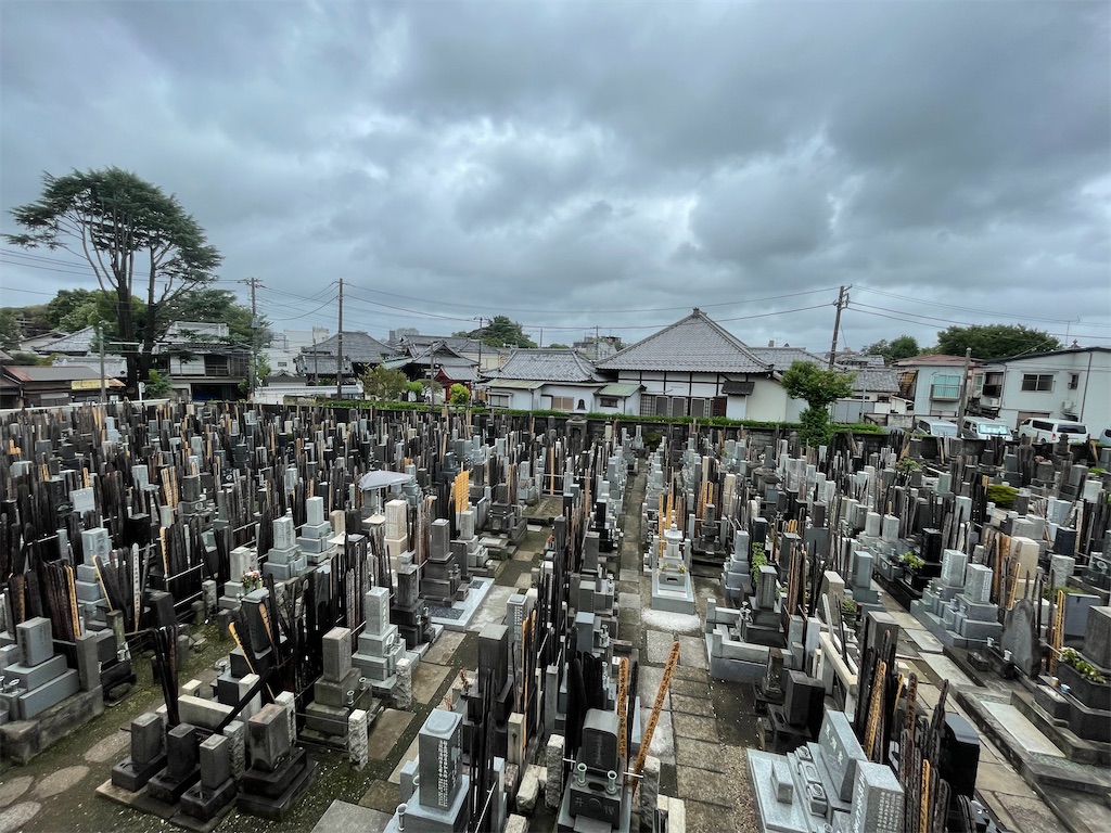 f:id:TokuheiKumagai:20240816190000j:image