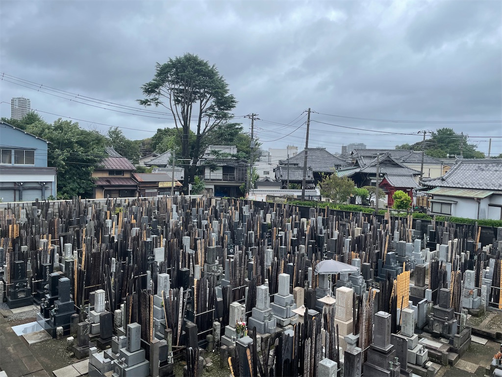 f:id:TokuheiKumagai:20240816190003j:image