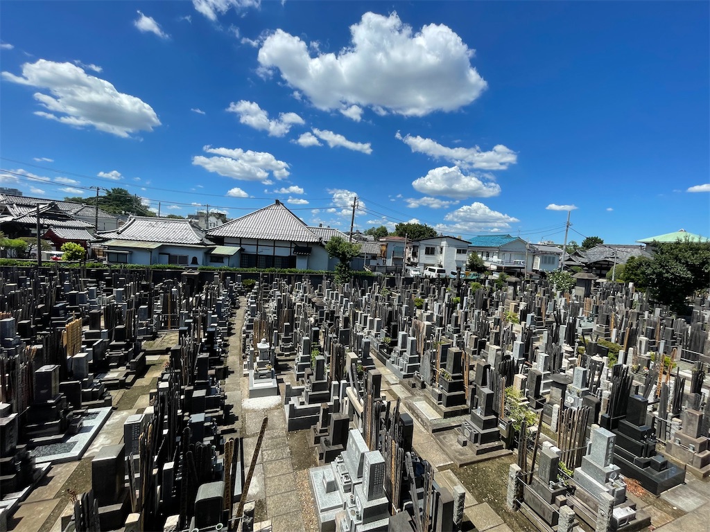 f:id:TokuheiKumagai:20240817225819j:image