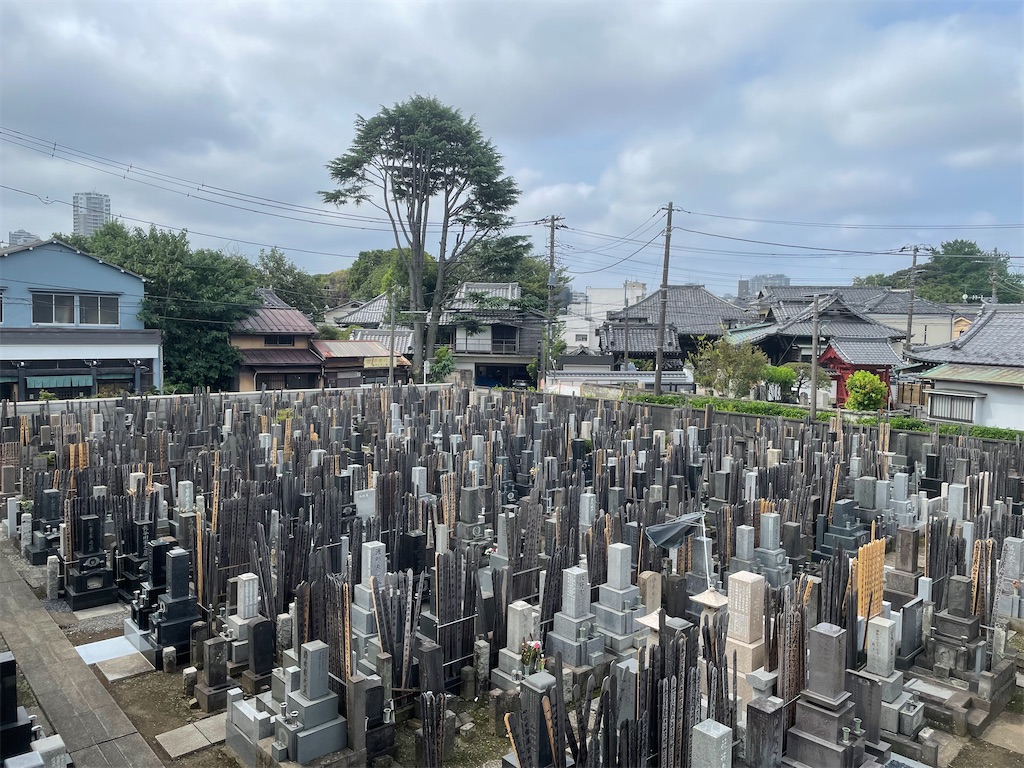 f:id:TokuheiKumagai:20240818102157j:image