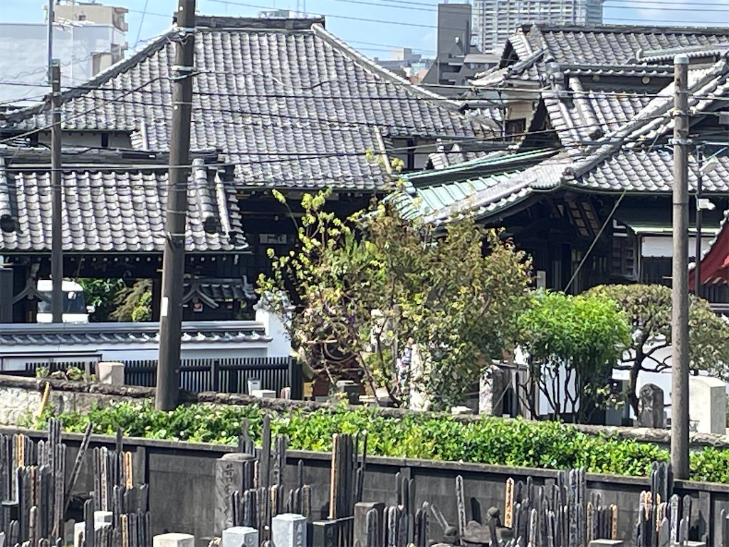 f:id:TokuheiKumagai:20240825141223j:image