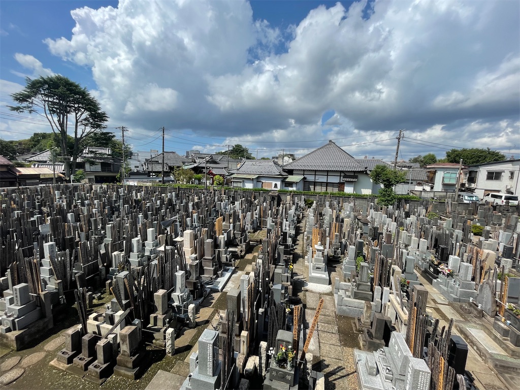 f:id:TokuheiKumagai:20240825141226j:image