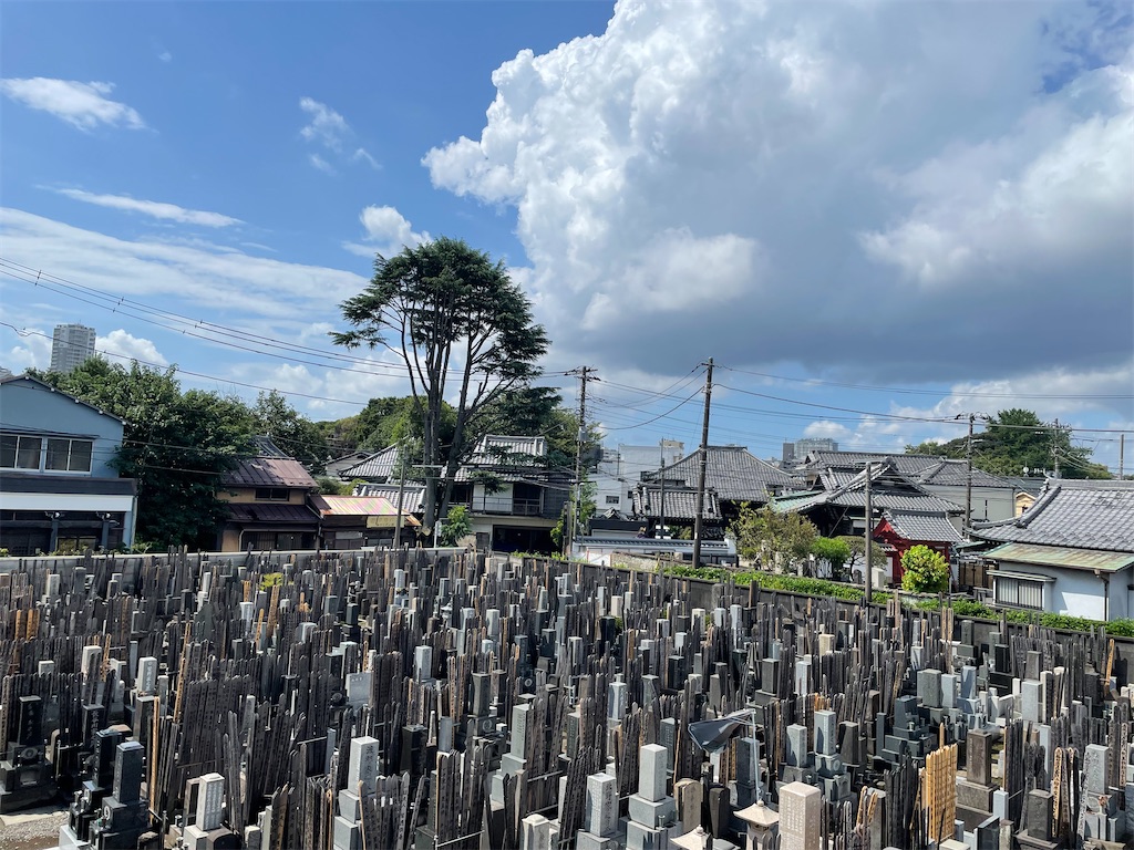 f:id:TokuheiKumagai:20240825141236j:image