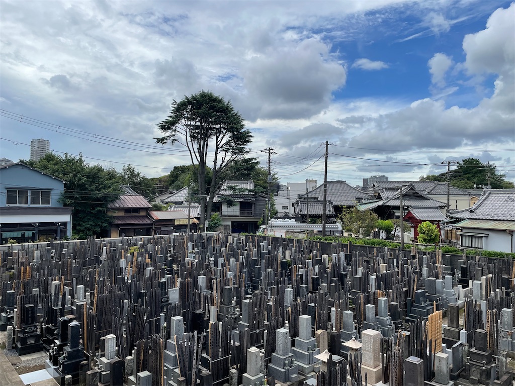 f:id:TokuheiKumagai:20240828113530j:image