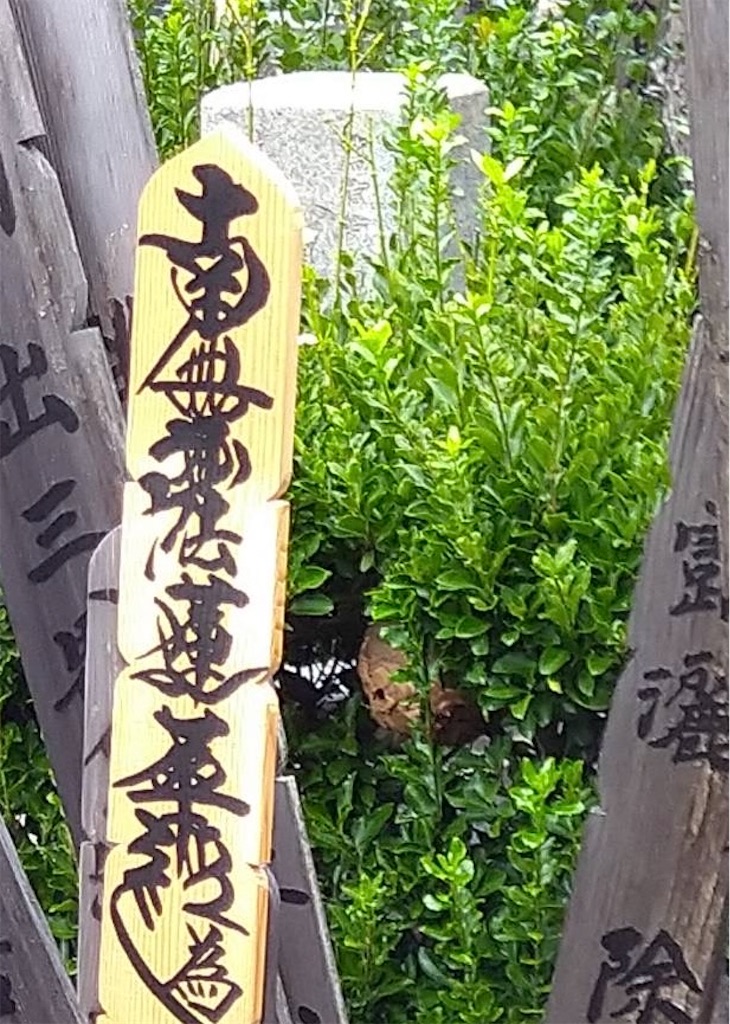 f:id:TokuheiKumagai:20240828130827j:image