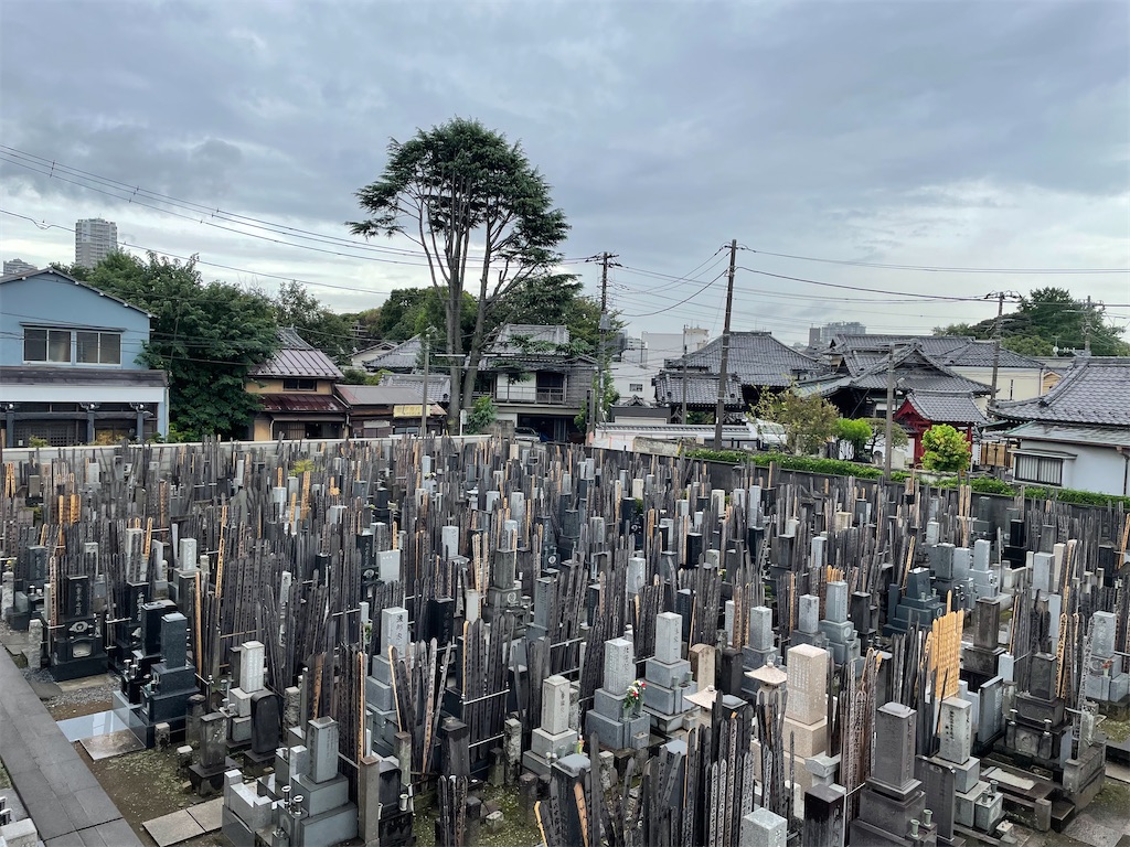 f:id:TokuheiKumagai:20240829153820j:image