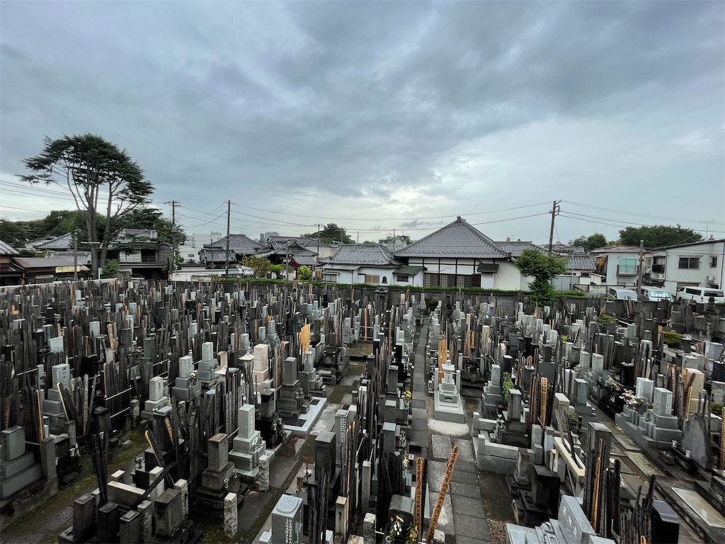 f:id:TokuheiKumagai:20240829153826j:image