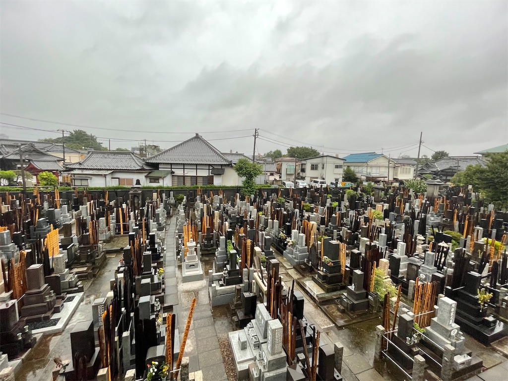 f:id:TokuheiKumagai:20240830082817j:image