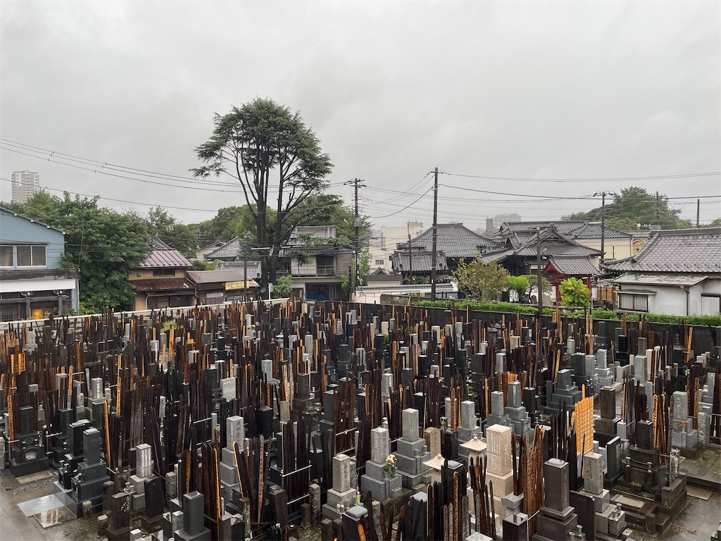 f:id:TokuheiKumagai:20240830082830j:image