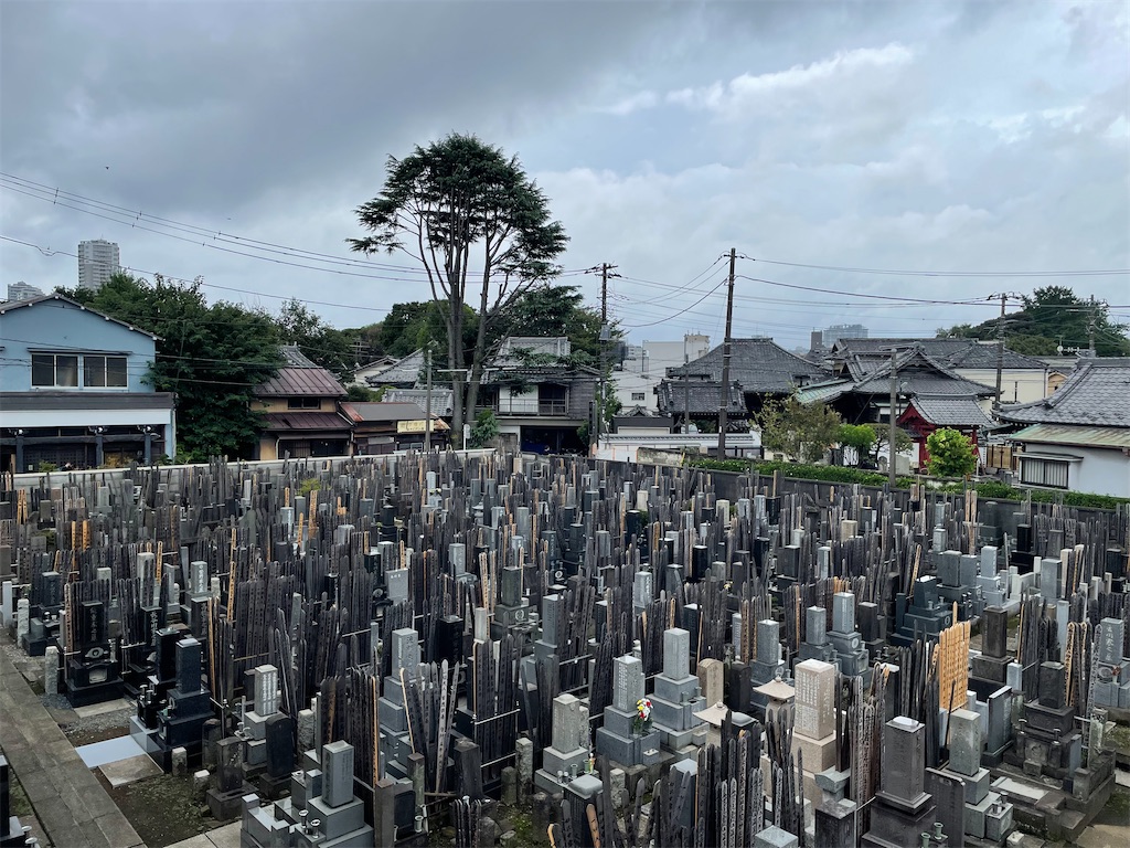 f:id:TokuheiKumagai:20240901124950j:image