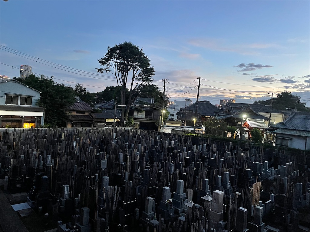 f:id:TokuheiKumagai:20240902184204j:image