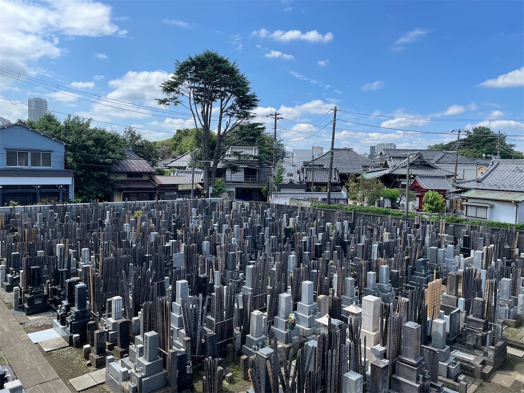 f:id:TokuheiKumagai:20240904105147j:image