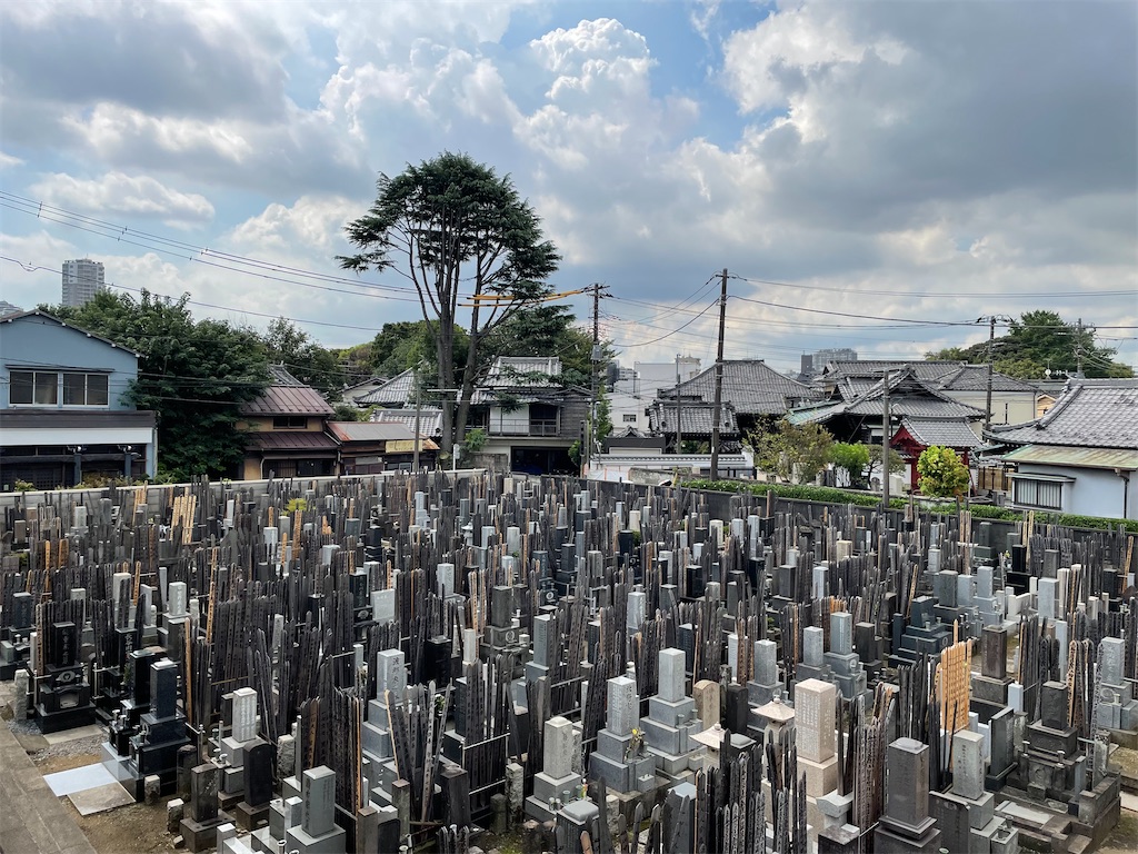 f:id:TokuheiKumagai:20240912104340j:image