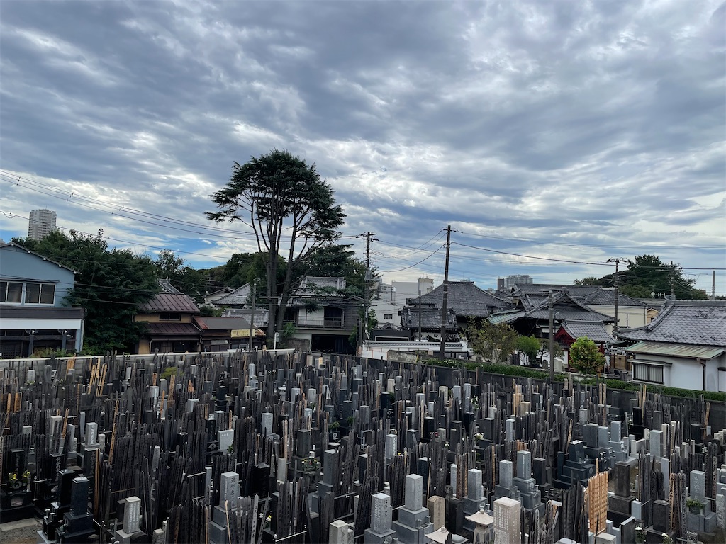 f:id:TokuheiKumagai:20240921192827j:image