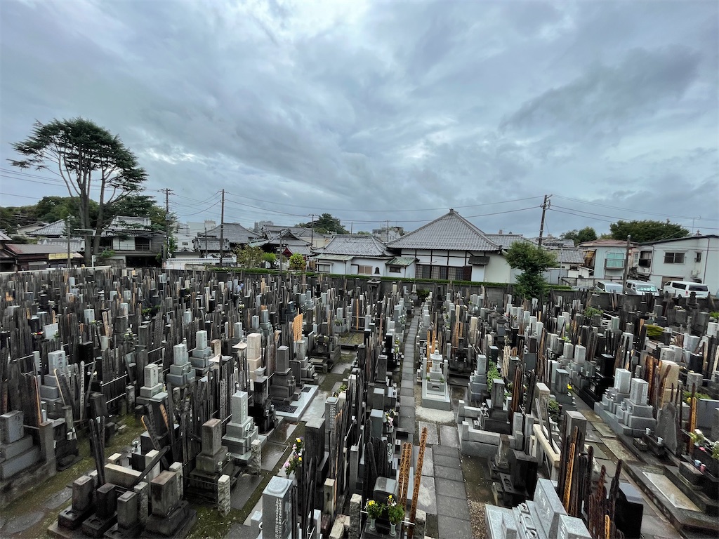 f:id:TokuheiKumagai:20240922133844j:image