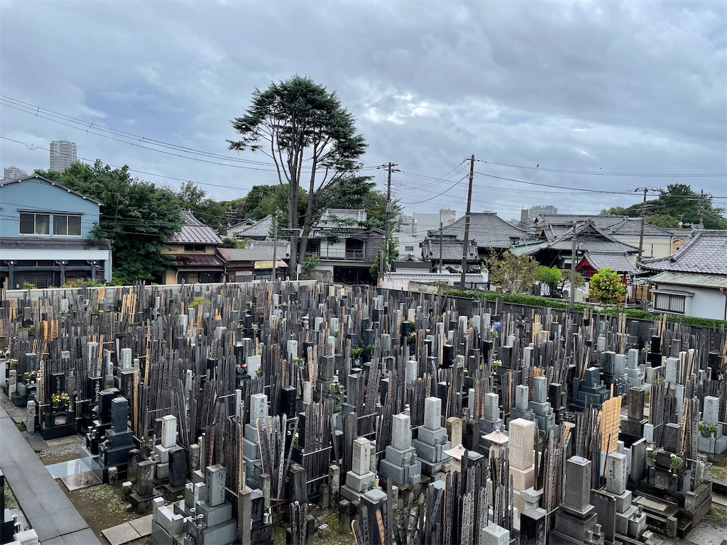 f:id:TokuheiKumagai:20240922133854j:image