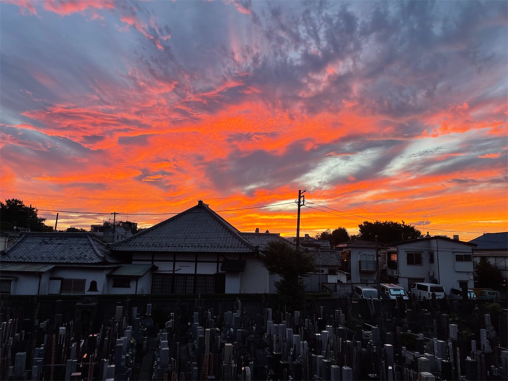 f:id:TokuheiKumagai:20240922210317j:image