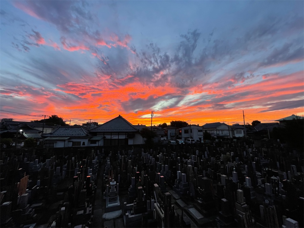 f:id:TokuheiKumagai:20240922210320j:image
