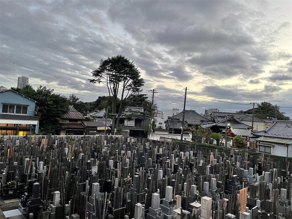 f:id:TokuheiKumagai:20240923193928j:image