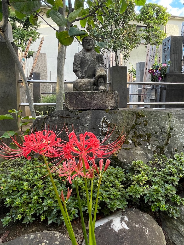 f:id:TokuheiKumagai:20240924210820j:image