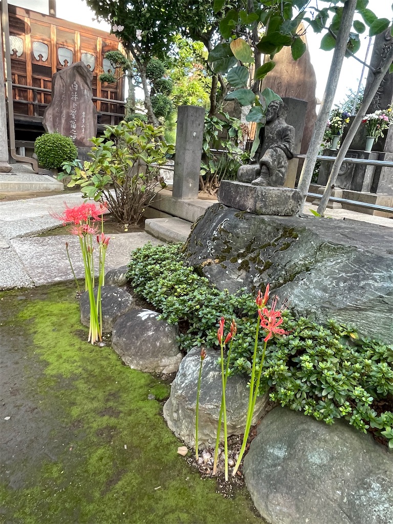 f:id:TokuheiKumagai:20240924210830j:image