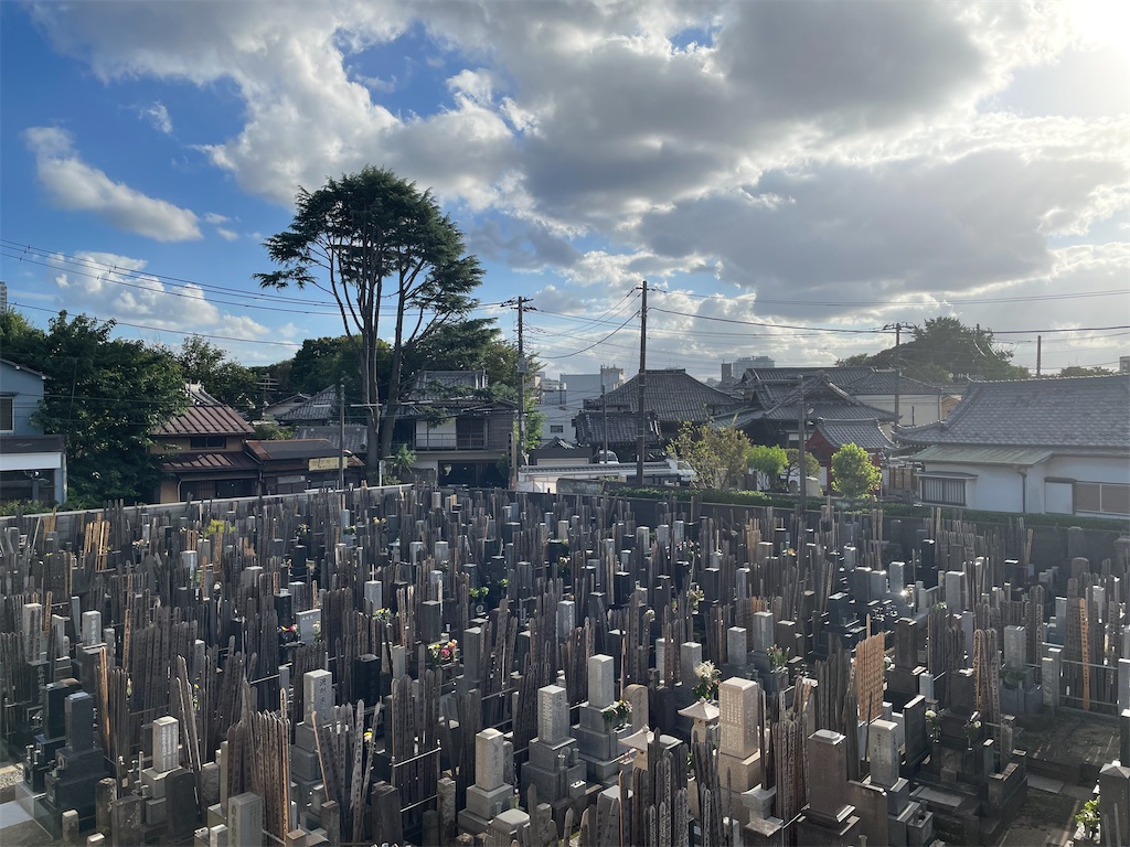 f:id:TokuheiKumagai:20240924210837j:image