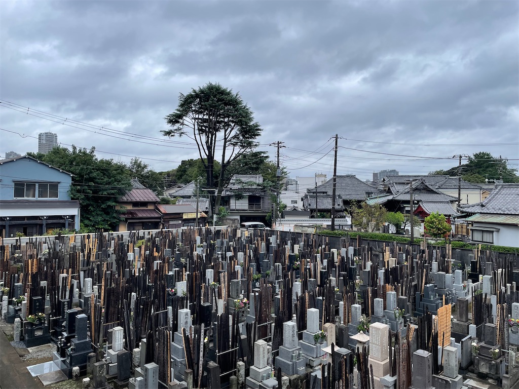 f:id:TokuheiKumagai:20240925202343j:image