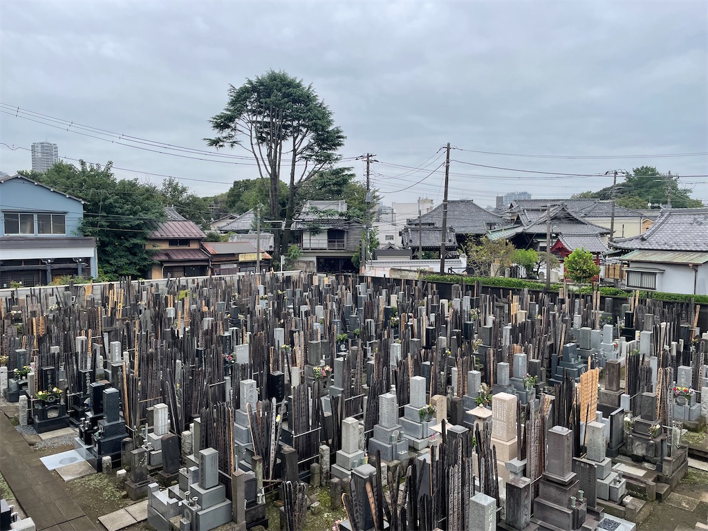 f:id:TokuheiKumagai:20240928225909j:image