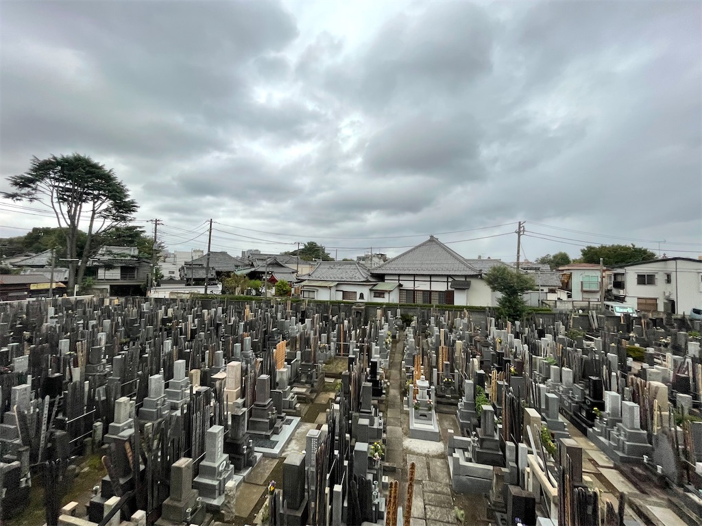 f:id:TokuheiKumagai:20240929171521j:image