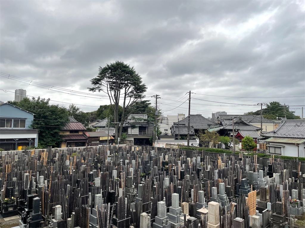 f:id:TokuheiKumagai:20240929171525j:image