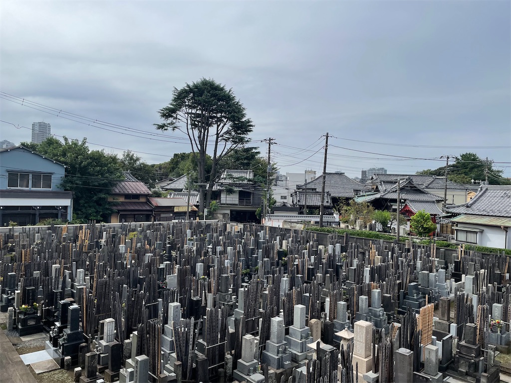 f:id:TokuheiKumagai:20241001230223j:image