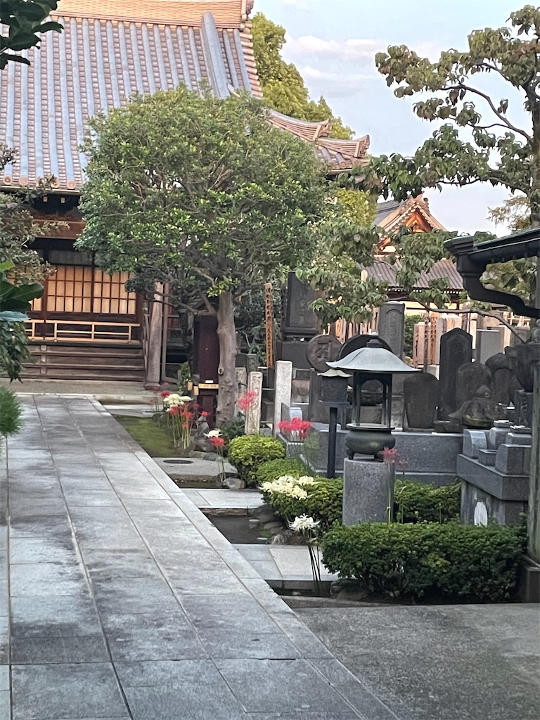 f:id:TokuheiKumagai:20241002225511j:image