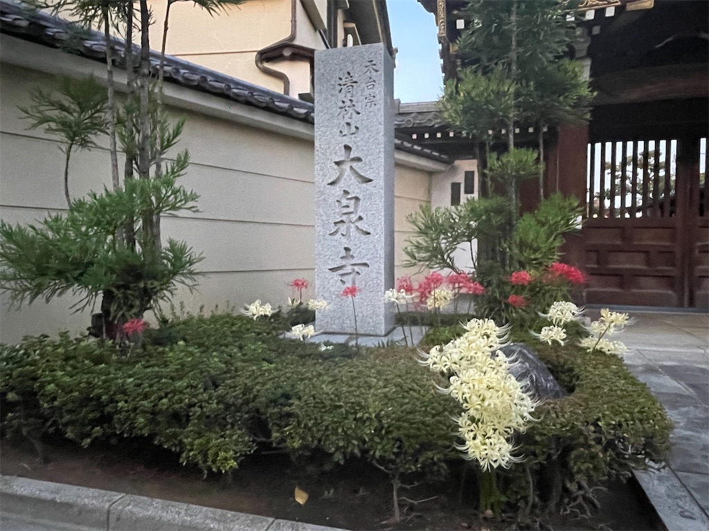 f:id:TokuheiKumagai:20241002225514j:image
