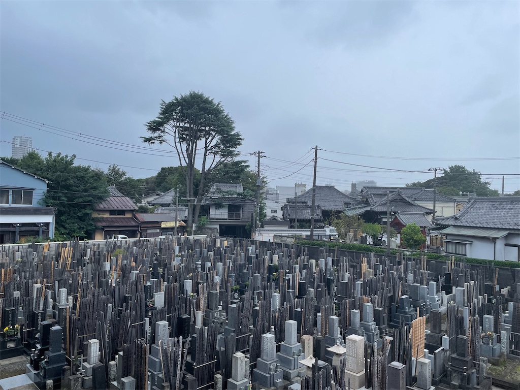 f:id:TokuheiKumagai:20241003154608j:image