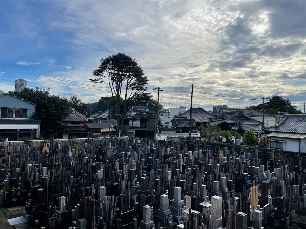 f:id:TokuheiKumagai:20241004152533j:image f:id:TokuheiKumagai:20241004152533j:image