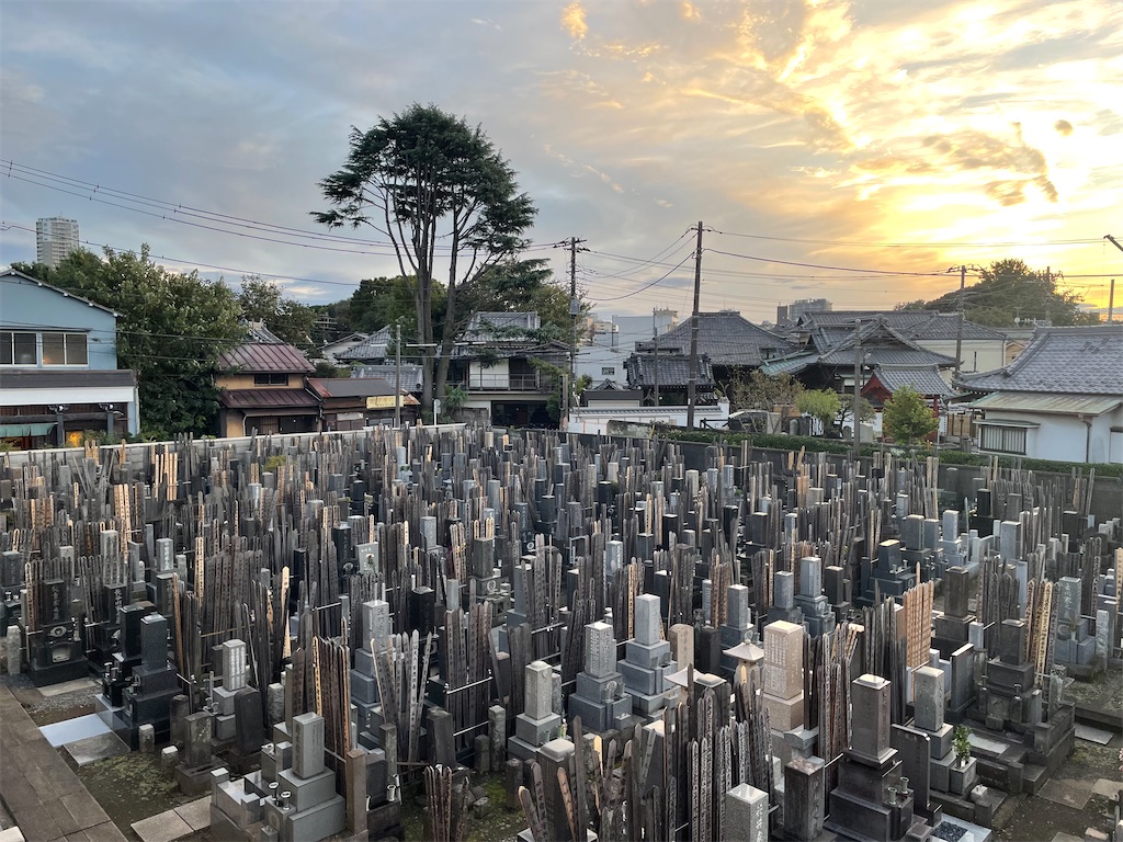 f:id:TokuheiKumagai:20241030191117j:image