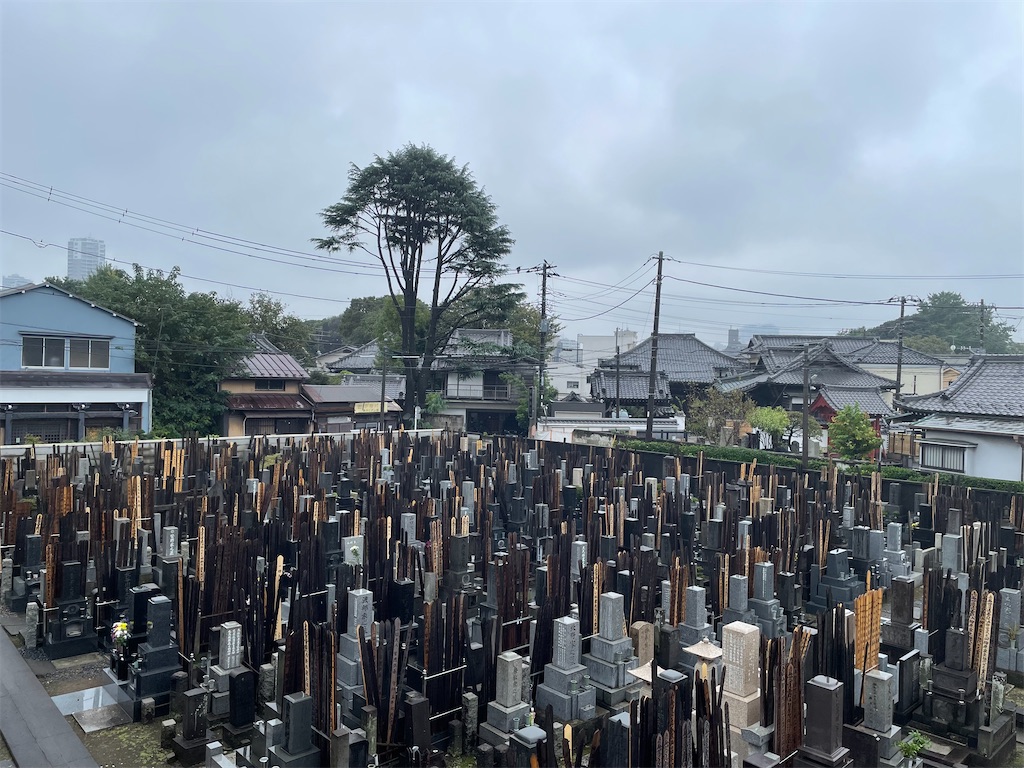 f:id:TokuheiKumagai:20241102125023j:image