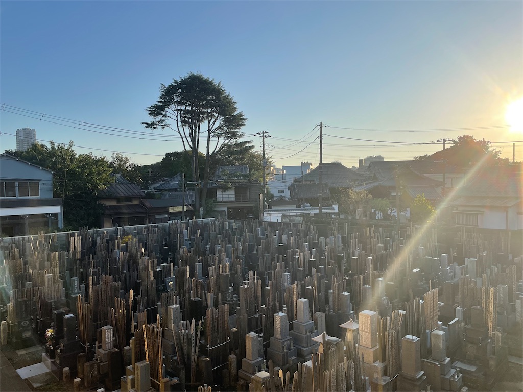 f:id:TokuheiKumagai:20241104134817j:image