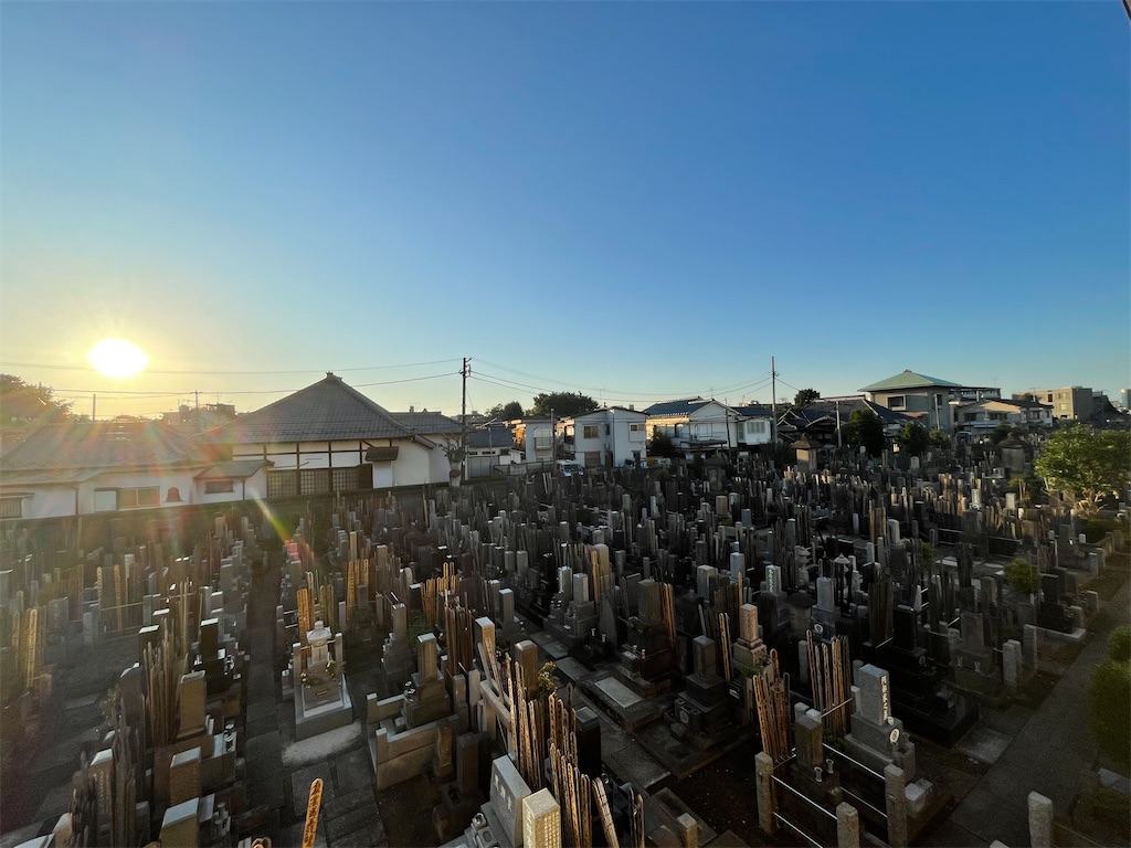 f:id:TokuheiKumagai:20241104134834j:image