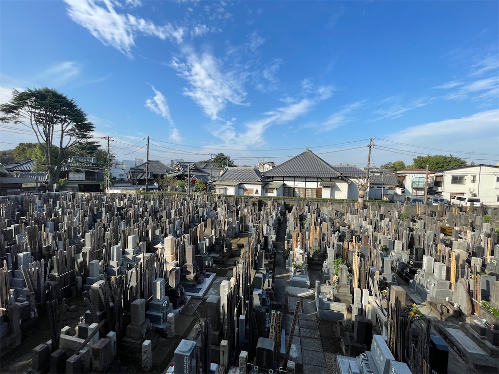 f:id:TokuheiKumagai:20241105154159j:image