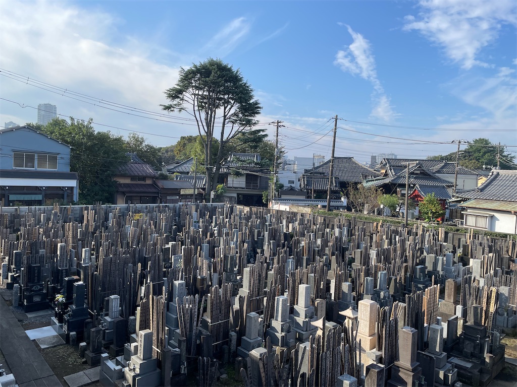f:id:TokuheiKumagai:20241105154202j:image