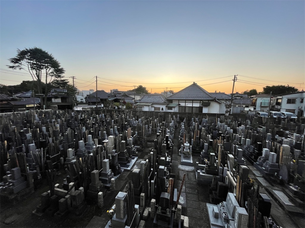 f:id:TokuheiKumagai:20241109072217j:image
