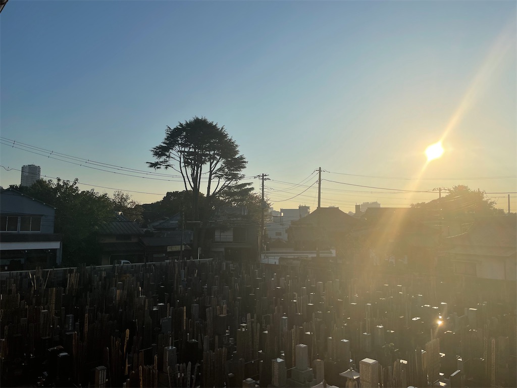 f:id:TokuheiKumagai:20241123232355j:image