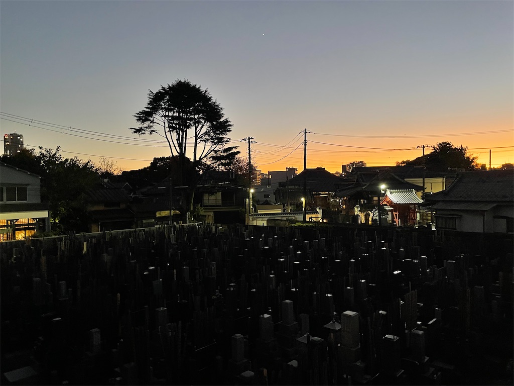 f:id:TokuheiKumagai:20241201173451j:image
