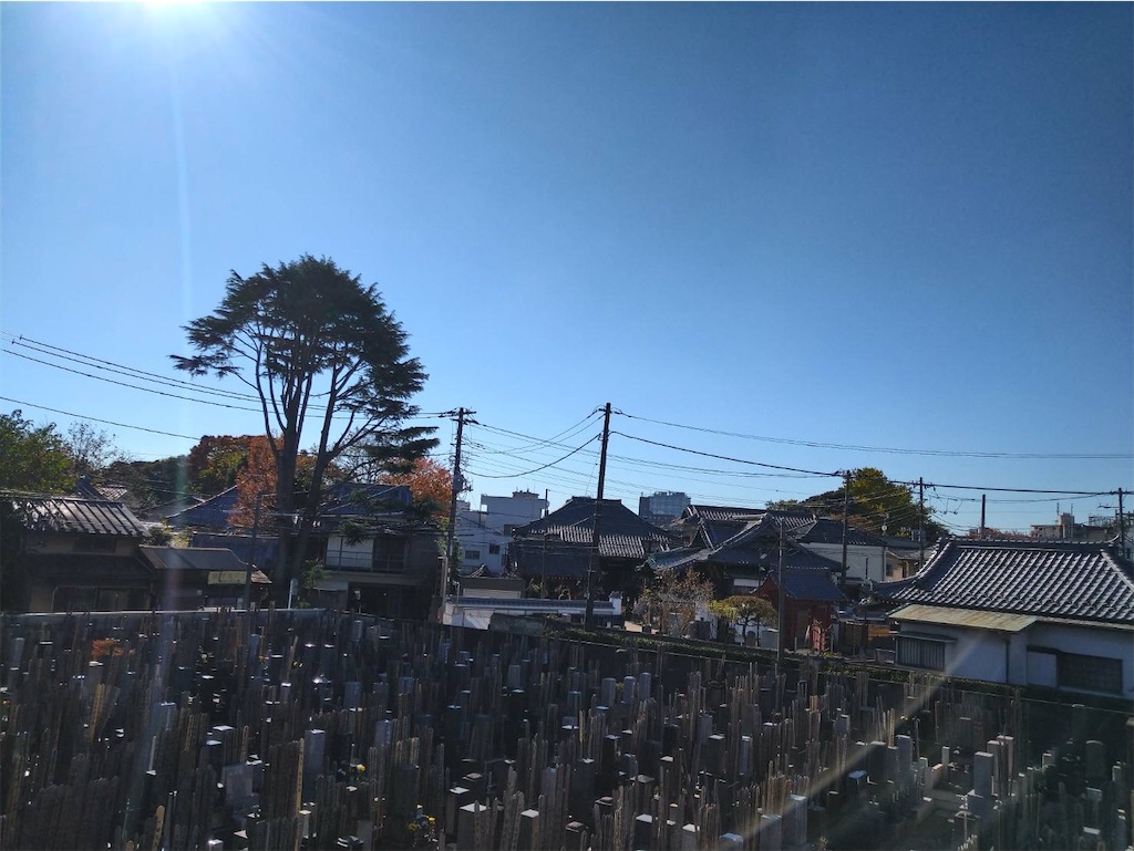 f:id:TokuheiKumagai:20241201173459j:image