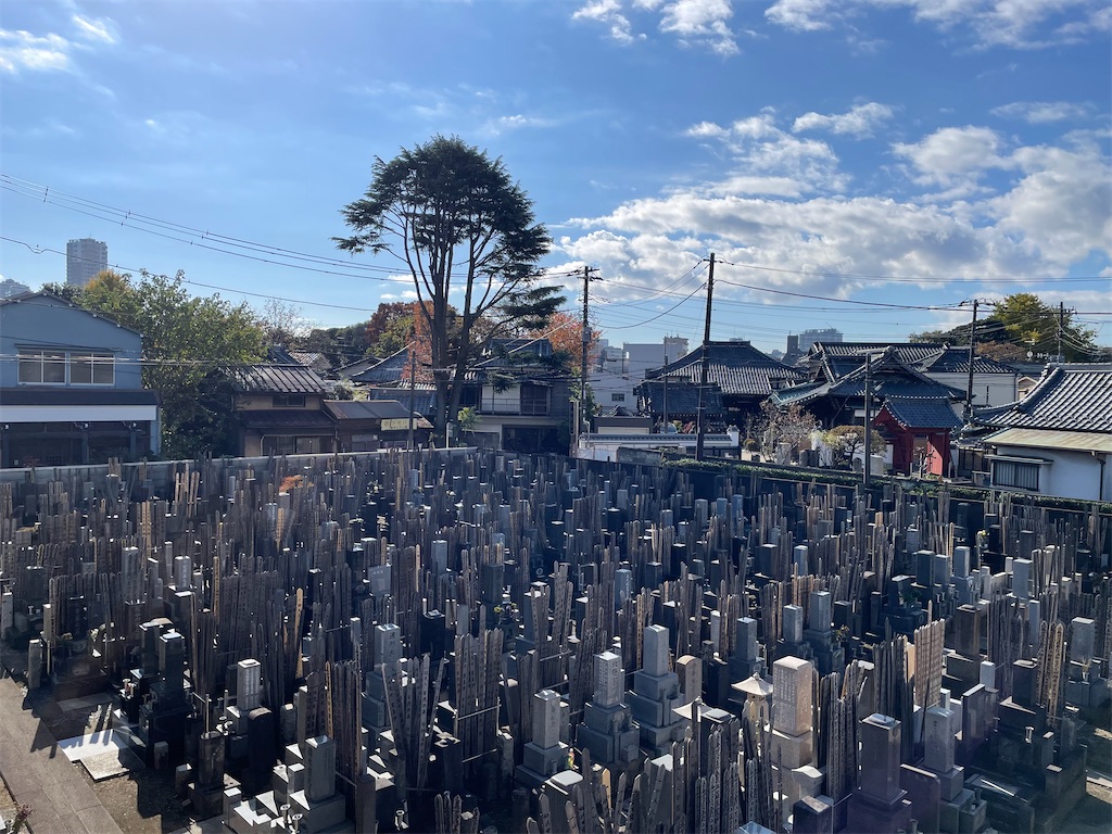 f:id:TokuheiKumagai:20241203111519j:image
